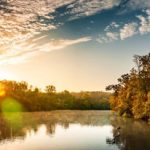 Novalis' Romantic Vision: Legacy in Modern Science