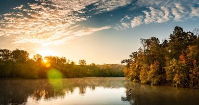 Novalis' Romantic Vision: Legacy in Modern Science