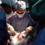 Saving Lives: Ethics of Organ Transplants