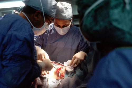 Saving Lives: Ethics of Organ Transplants