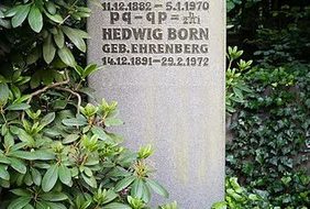 Kublai Khan's Birthday: Legend & Legacy