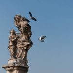 Aristotle's Four Causes: Knowledge and Purpose