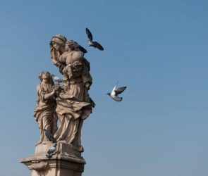 Aristotle's Four Causes: Knowledge and Purpose