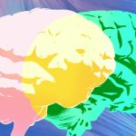 Grammarly Expert Review Lacks Real Experts