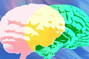 Grammarly Expert Review Lacks Real Experts