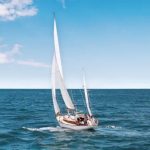 The Allure of Unfreedom